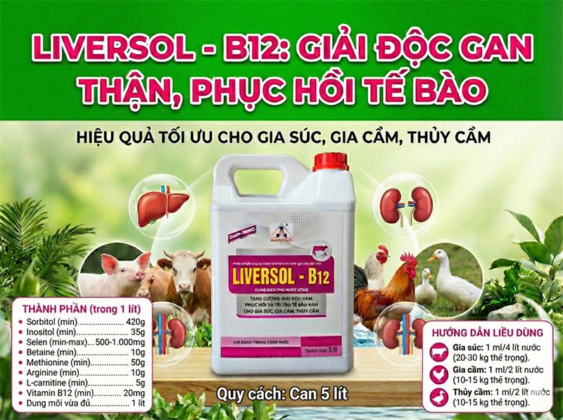 SAGOPHAR LIVERSOL B12 5 Lít - Can