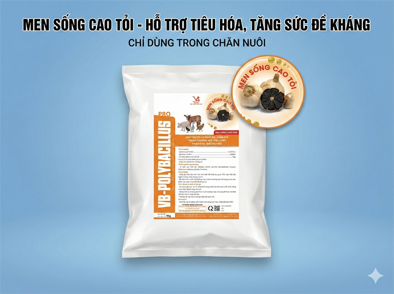 VB POLYBACILLUS PRO - Men Cao Tỏi 1kg - Gói 10in1 - Ảnh 4