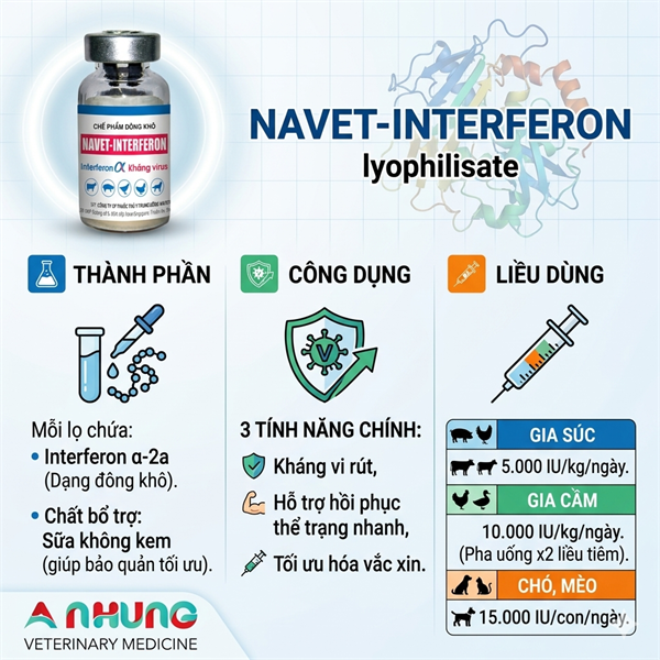 Navet Interferon - 1 Triệu UI - LỌ 1 Triệu UI - Ảnh 3