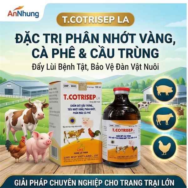 LIKE T. COTRISEP LA ( SulfaTrime) - Chai 100 ml