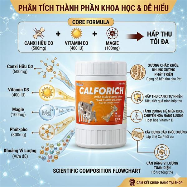 Á Châu CALFORICH - calci viên - Hũ 100 viên - Ảnh 3