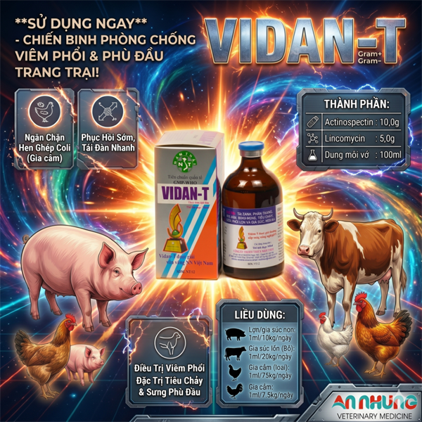 NThái VIDAN-T (Lincomycin) - 100ml chai - Ảnh 4