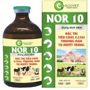 Alternative view of Goovet NOR 10% - Đặc trị tiêu chảy, Phân trắng - LỌ 100ML