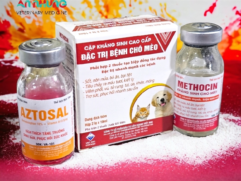 VIAVET Kháng sinh Chó, Mèo cao cấp - Cặp - Ảnh 2