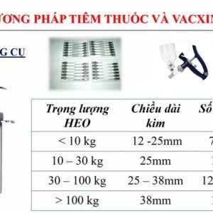 Alternative view of 9N - 9x13 - Vỉ x 10 cái