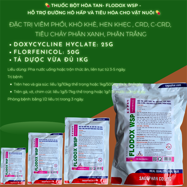 SAGOPHAR FLODOX WSP 1kg (N) - Đặc trị viêm phổi, khô khe, hen khẹc, CRD, CCRD, tiêu chảy phân xanh, phân trắng - 1kg (10in1) - Ảnh 2