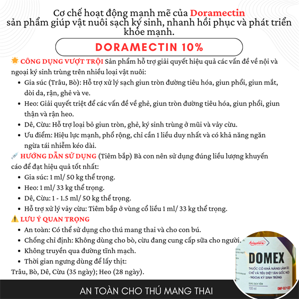 Á Châu DOMEX - Lọ 100ml - Ảnh 5
