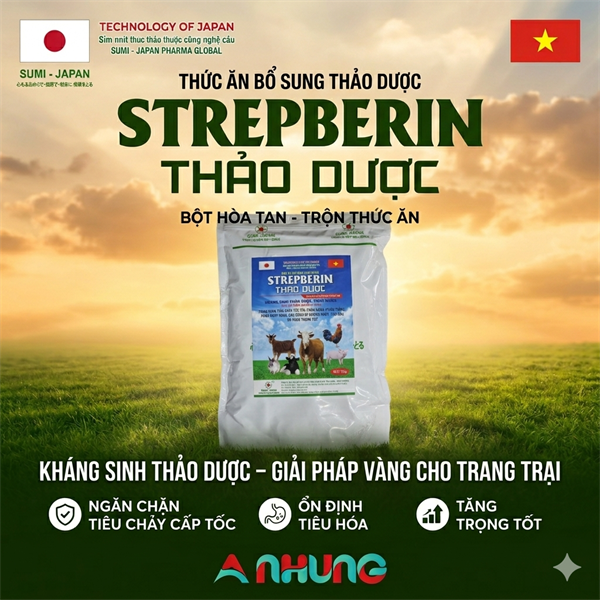 SUMI STREPBERIN THẢO DƯỢC 1kg - Berberin đắc trị tiêu chảy - Gói 10in1
