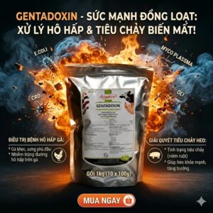 Alternative view of Á CHÂU GENTADOXIN - viêm ruột, viêm phổi, sưng phù đầu - 1Kg (10in1)