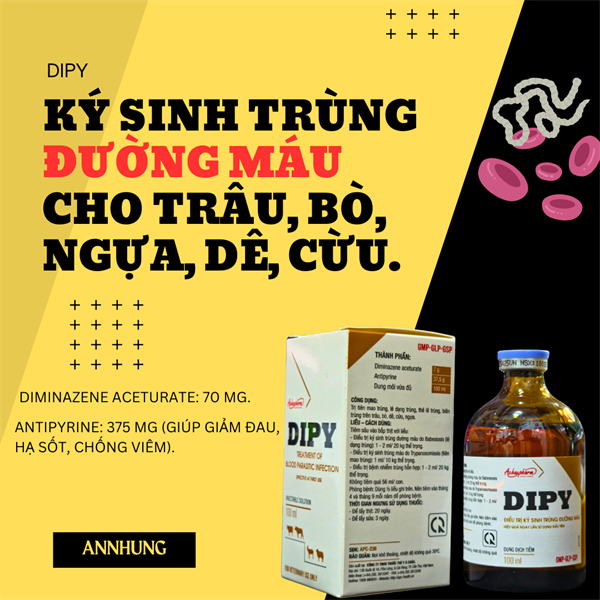 Á CHÂU DIPY - Ký sinh trùng đường máu, Sán Lá Gan 100ml - Lọ