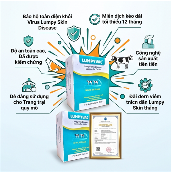 Vaccine Viêm Da Nổi Cục Lumpyvac 25 Liều - Lọ - Ảnh 5