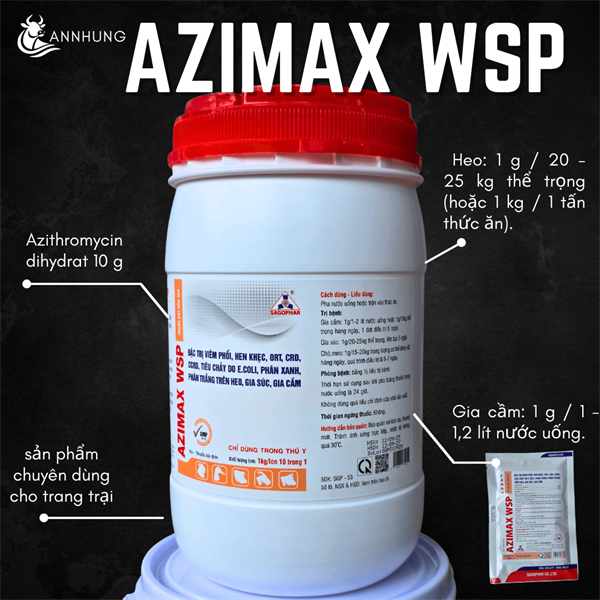 SAGOPHAR AZIMAX WSP (AZITHROMYCIN) 1 Kg - Lon 10in1 - Ảnh 2