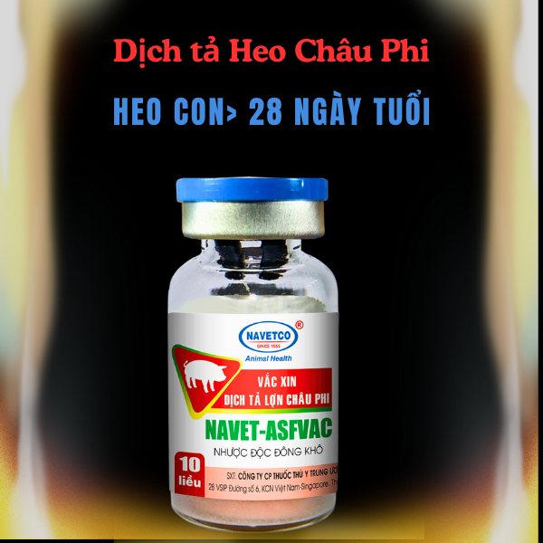 NAVET- ASFVAC 10L (dịch tả lợn châu phi) - Lọ 10 Liều