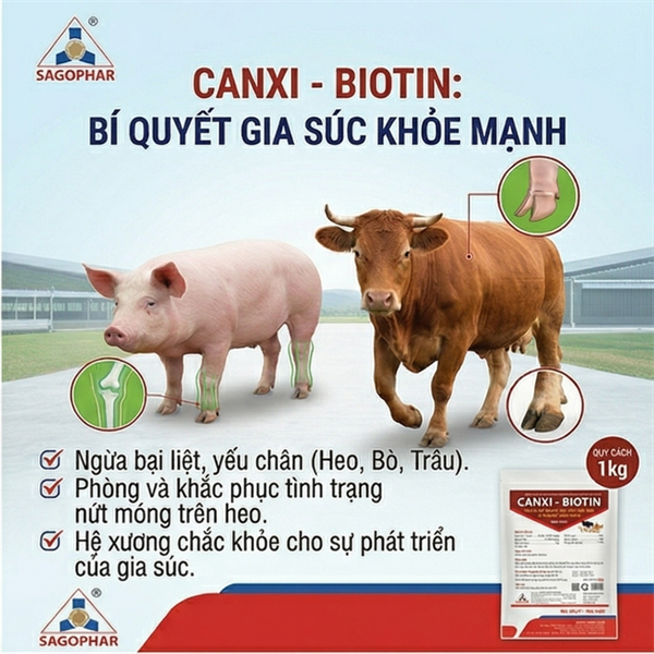 SAGOPHAR CANXI BIOTIN - Gói 1kg - Ảnh 3