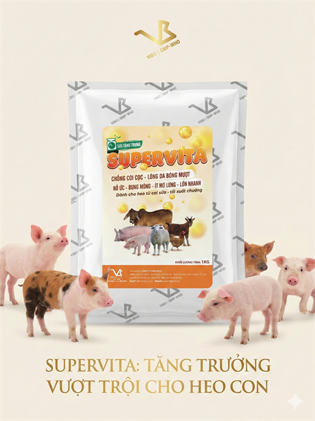 VB SUPER VITA - chống còi cọc, tăng trọng - 1kg - gói/1 kg - Ảnh 3
