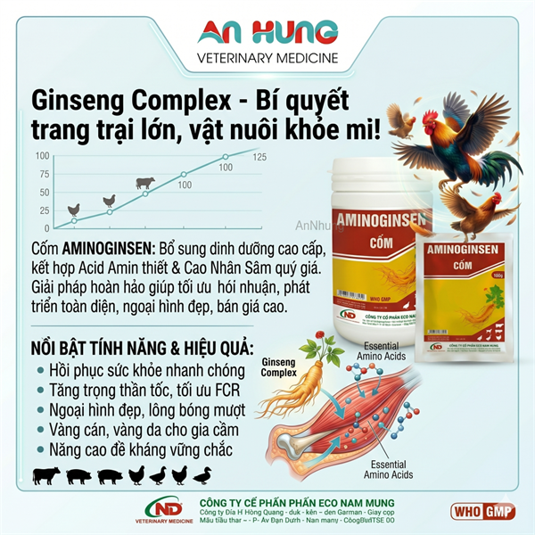 ND Cốm Nhân Sâm AMINOGINSEN (1Kg) - Hỗ Trợ Vỗ Béo, Nở Ức, Dày Lườn, Đẹp Mã Cho Gia Súc Gia Cầm - Lon 5in1 - Ảnh 5