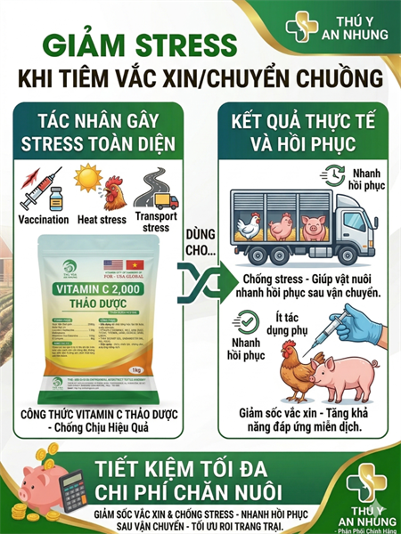 SUMI VITAMIN C 20% 1Kg - Gói 10in1 - Ảnh 4