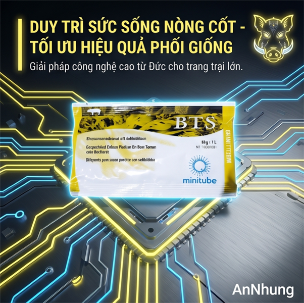 Môi trường pha tinh - Gói - Ảnh 5