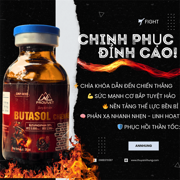 PROVET BUTASOL (Chiến Kê) 20ml - bổ tiêm cao cấp - lọ - Ảnh 3