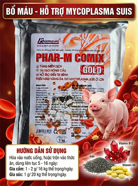 PHAR-M COMIX GOLD 1kg - Tạo máu, Mycosuis - Gói - Ảnh 2