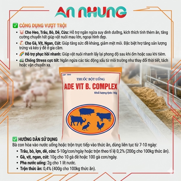 Minh Huy ADE VIT Bcomplex 500g - Gói 500gr - Ảnh 4