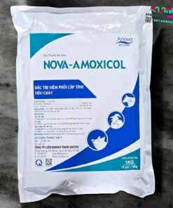 Anova Amoxicol - Gói