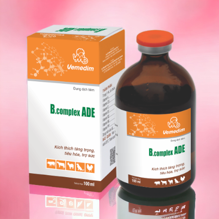 VMD ADE BCOMPLEX 100ml - Lọ - Ảnh 2