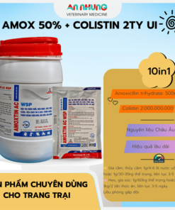 SAGOPHAR AMOXTIN 50% AC WSP XANH - 1kg - Amox Colis (N) - Lon 10in1
