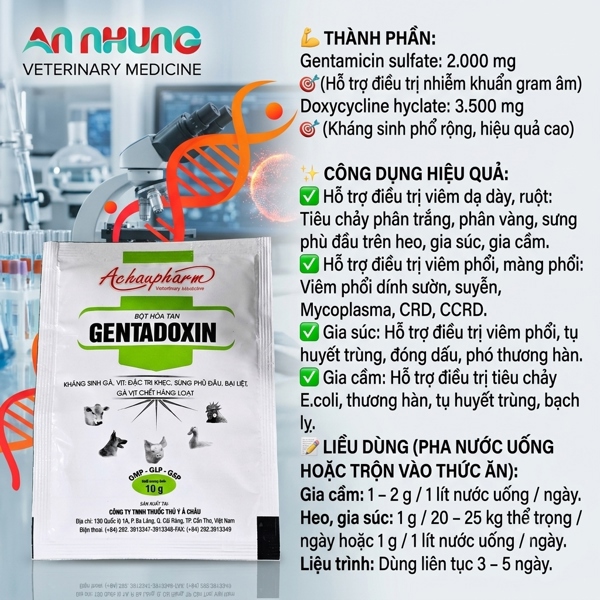 Á CHÂU GENTADOXIN - viêm ruột, viêm phổi, sưng phù đầu - 1Kg (10in1) - Ảnh 5