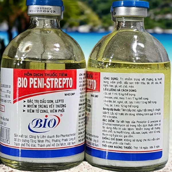 BIO PENI STREPTO 100ml - Lọ - Ảnh 4