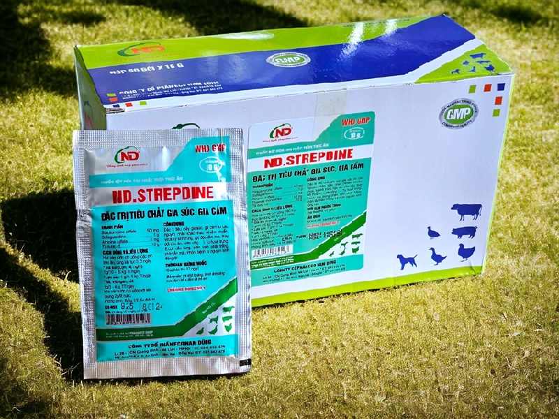 ND Strepdine 10gr - Đặc trị tiêu chảy - Gói - Ảnh 4