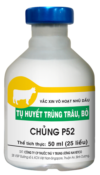 Vaccine Navetco Tụ Huyết Trùng Trâu, Bò (25 Liều) - Lọ 50ml - Ảnh 2