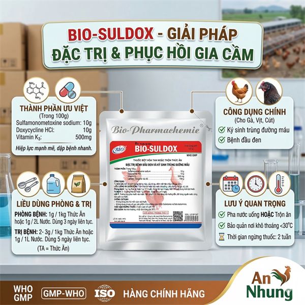 Bio Suldox 100g đặc trị Đầu Đen và Ký sinh trùng đường máu - Gói - Ảnh 3