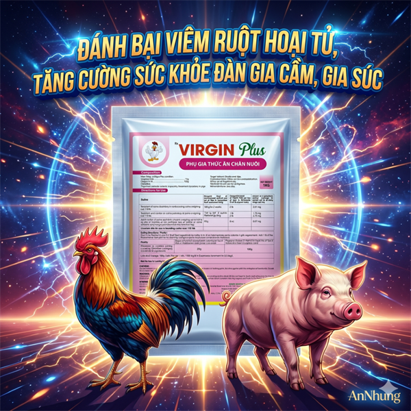 CV VIRGIN PLUS - viêm ruột hoại tử gia cầm 1KG - Gói 1kg