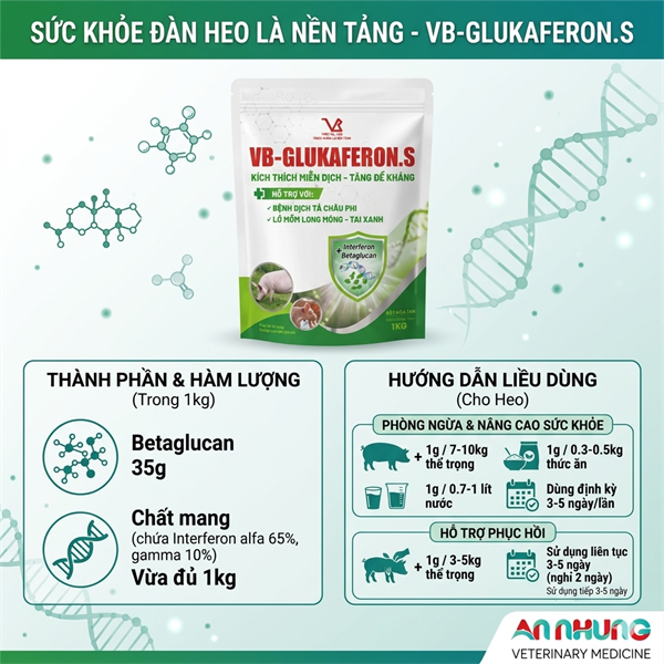 VB GLUKAFERON.S (Heo) 1kg - kháng thể Virus Interferon >70% - Dành cho Heo - 1 kg 10in1 - Ảnh 4