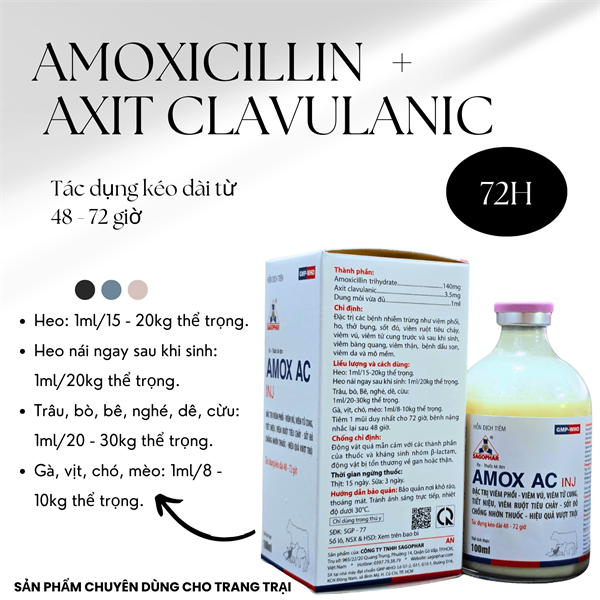 SAGOPHAR AMOX AC (Axit clavulanic - Chống lờn thuốc) - TRẮNG (N) - CHAI 100ML - Ảnh 5