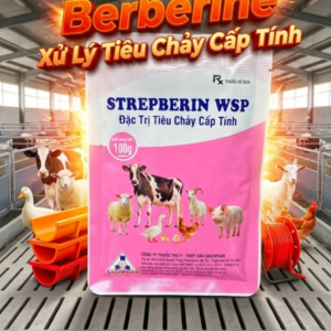 SAGOPHAR Strepberin 100g - Gói 100gr