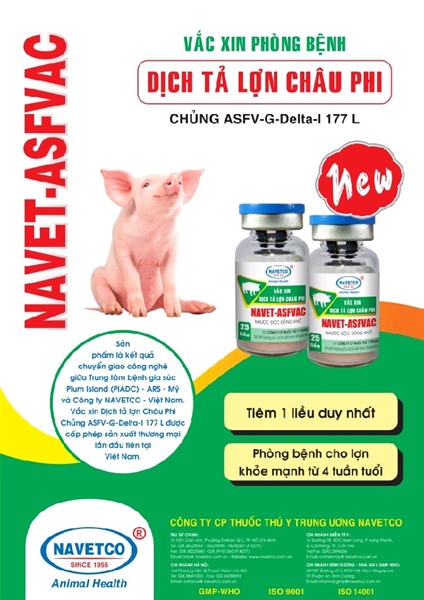 NAVET- ASFVAC 10L (dịch tả lợn châu phi) - Lọ 10 Liều - Ảnh 3