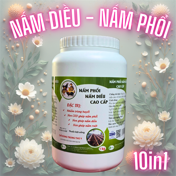 GOOVET NẤM PHỔI, NẤM DIỀU CAO CẤP 1kg - Lon 10in1