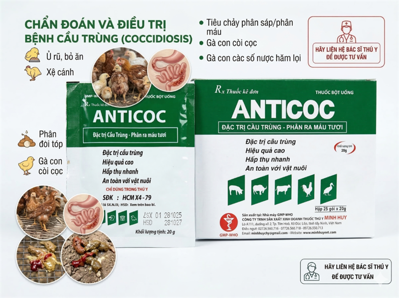 Minh Huy Anticoc 20gr - Gói 20gr - Ảnh 3