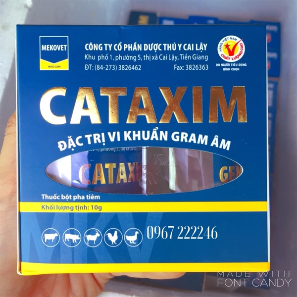 Cai lậy CATAXIM 250ml - Bộ - Ảnh 2