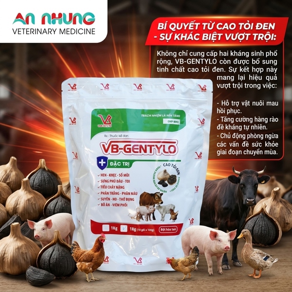 VB - GENTA TYLO 1kg - Cao tỏi đen, đông trùng hạ thảo - Gói (10in1) - Ảnh 4