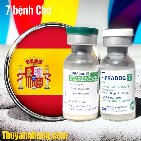 Vaccine Hipra Dog - 7 bệnh Chó - Liều - Ảnh 3