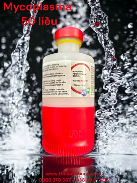 Vaccine Boehringer MYCO - Lọ 50 liều - Ảnh 2
