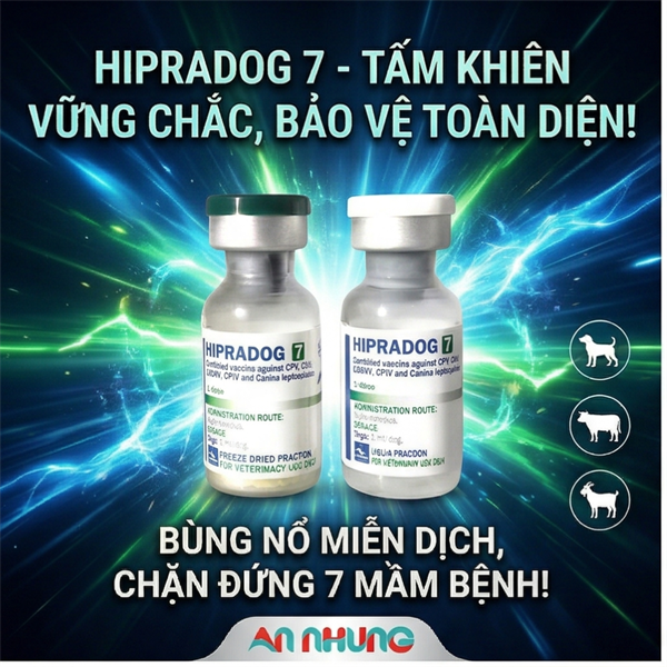 Vaccine Hipra Dog - 7 bệnh Chó - Liều