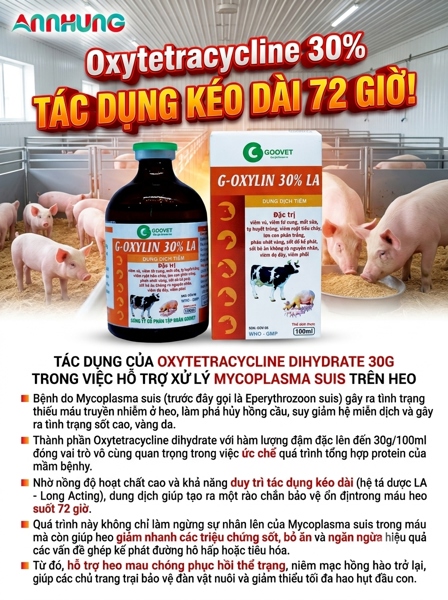 Goovet G - OXYLIN 30% LA 100ml - Chai 100ml - Ảnh 4