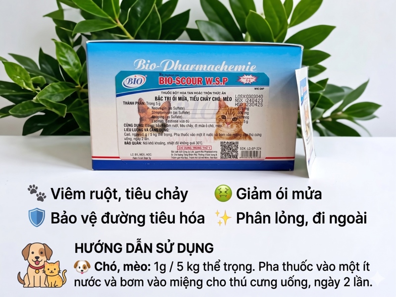 Bio Scour W.S.P 5gr - Đặc trị tiêu chảy chó, mèo - Hộp 50 gói - Ảnh 4