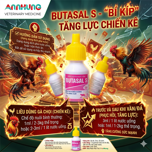Sagopha Butasal S 10ml oral - Tăng lực gà đá - Lọ 10ml - Ảnh 5