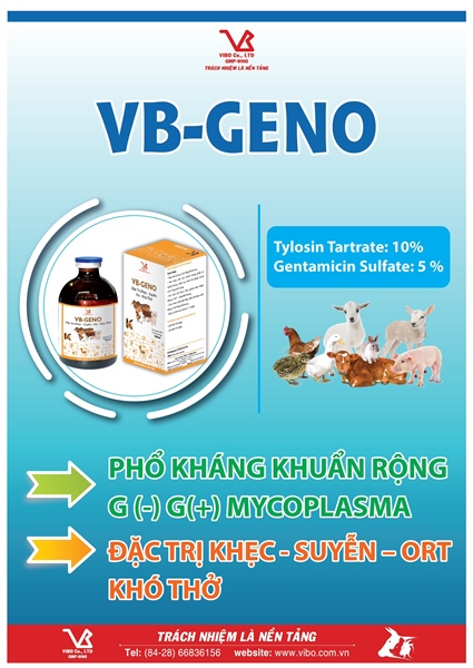 VB GENO ( GENTA TYLO) - Chai 100ml - Ảnh 2