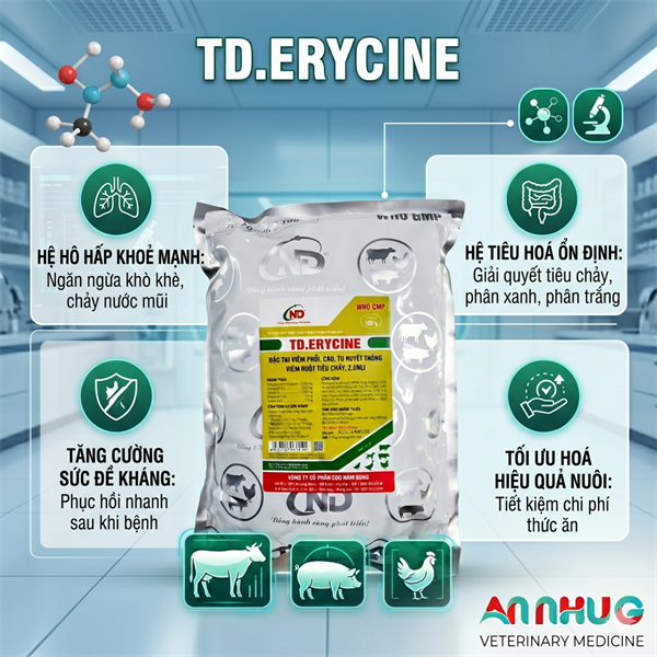 ND ERYCINE 100gr - CRD, Phổi, Tụ Huyết Trùng, Ecoli - gói - Ảnh 4